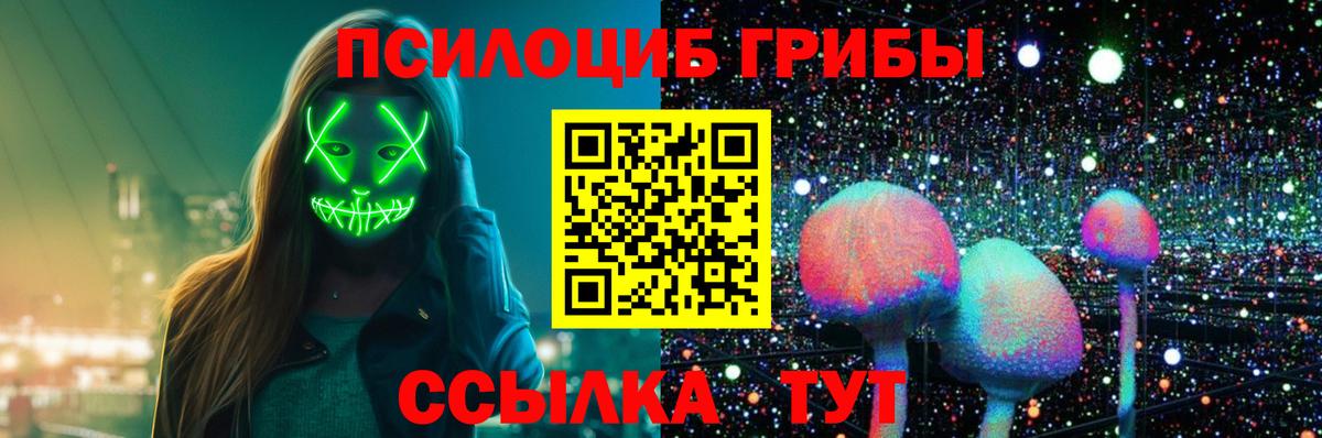 Галлюциногенные грибы мицелий Прохладный